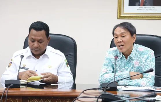 Wagub Maluku & Konjen Jepang Bahas Investasi Blok Masela hingga Hibah Rumah Sakit