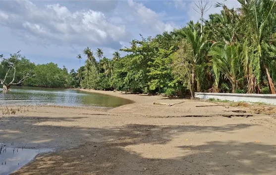 Gaet Mitra Internasional, Rutong Kembangkan Konservasi Bahari Berbasis Karbon