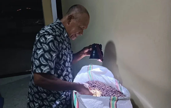 Cengkeh Raja, Primadona Ekonomi Masyarakat Negeri Latu