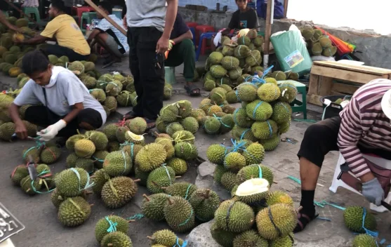 Musim Duren Tiba, Pasar Mardika Banjir Durian Luar Ambon