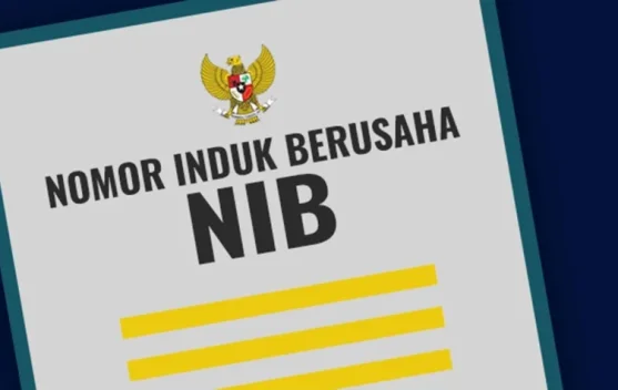 Tak Perlu ke Kantor, DPMPTSP Ambon Jemput Bola Urus NIB