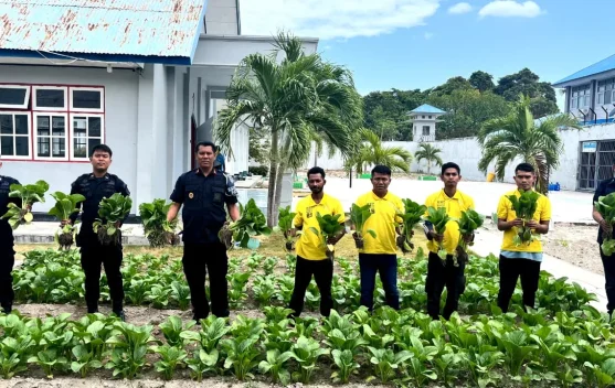Hasil Nyata Ketahanan Pangan, Warga Binaan Lapas Namlea Puluhan Ikat Sawit