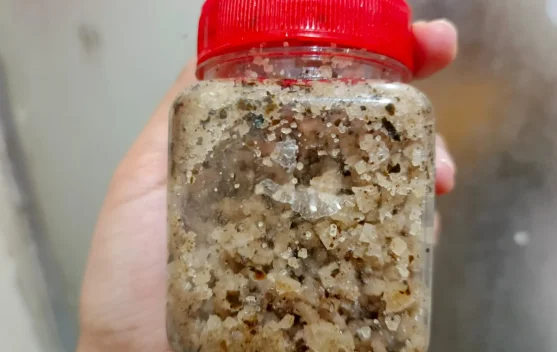 Manfaat Garam dan Daun Kelor yang Sudah Diracik untuk Mandi