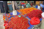 Harga Cabai Melonjak, Ikut Dorong Inflasi Maluku September 2026