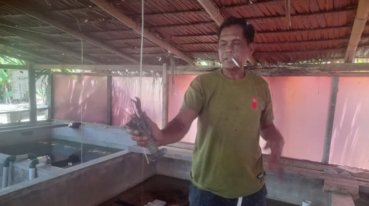 Usaha Lobster Air Tawar Tingkatkan Kesejatraan
