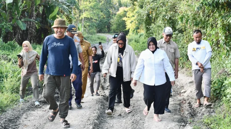 Kurangnya Akses Infrastruktur Kantong Produksi Pertanian Touna Belum Optimal