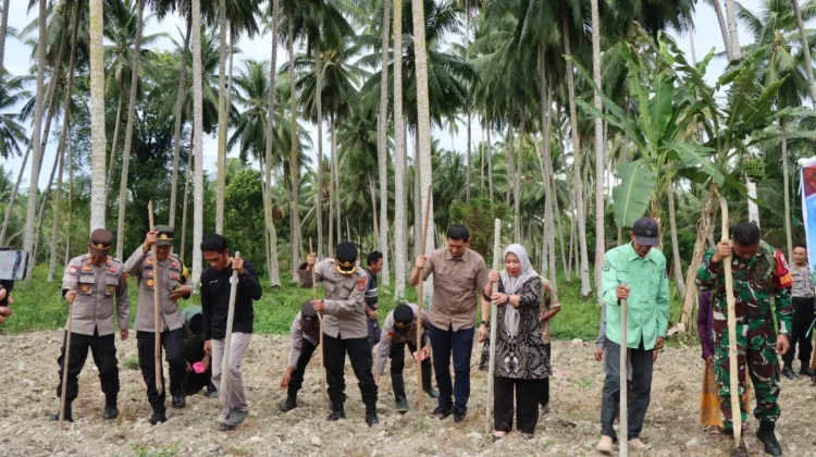Wakapolres Touna Pimpin Penanaman Jagung Serentak Ikuti Arahan Kapolri