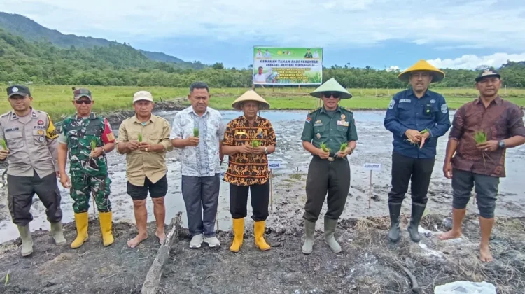 Perluas Sawah Rakyat, Tanam Padi Serentak Digelar di Desa Dataran Bugi