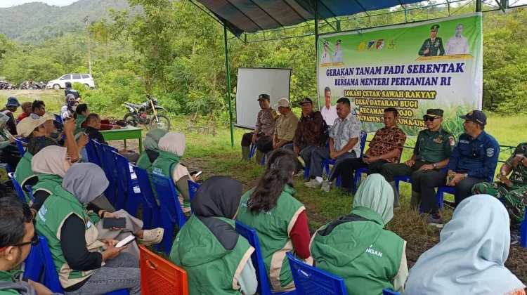 Perluas Sawah Rakyat, Tanam Padi Serentak Digelar di Desa Dataran Bugi