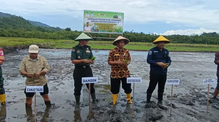 Perluas Sawah Rakyat, Tanam Padi Serentak Digelar di Desa Dataran Bugi
