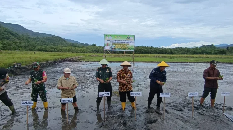 Perluas Sawah Rakyat, Tanam Padi Serentak Digelar di Desa Dataran Bugi