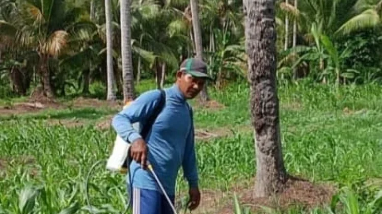 Dukungan Pemda Touna Meningkatkan Produktivitas Pangan Masih Minim