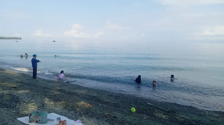 Lumba-Lumba jadi Daya Tarik Wisata Pantai Urban Park Bailo