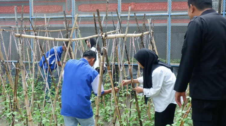 Lapas Luwuk Kembangkan Pertanian Hortikultura Warga Binaan