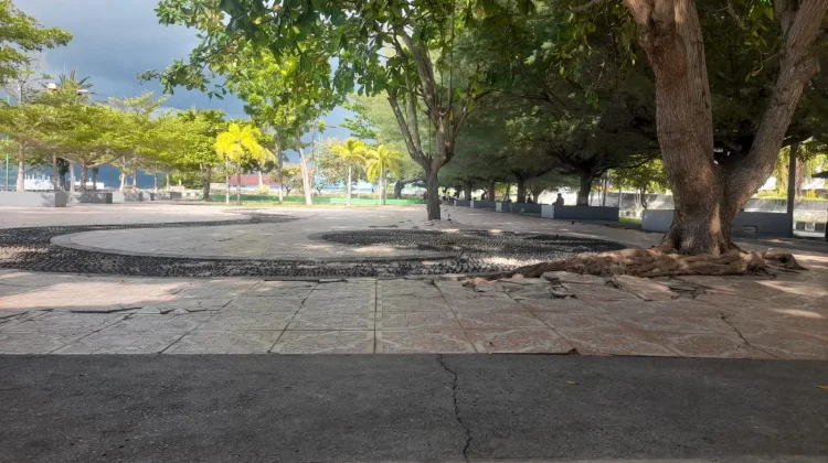 Pemerintah Kecamatan Ampana Kota Touna Prioritaskan Kebersihan Taman JH