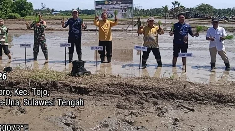 Pemda Touna Gelar Gerakan Tanam Serempak di Desa Lemoro