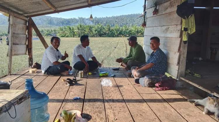 Ampana Tete Dorong Ketahanan Pangan lewat Program Ternak dan Pertanian