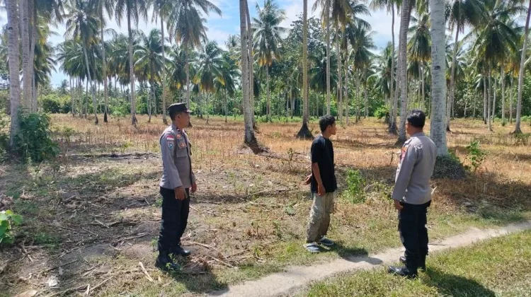 Gukung Ketahanan Pangan, Kapolsek Ampana Kota Tinjau Lahan Jagung di Desa Buntong