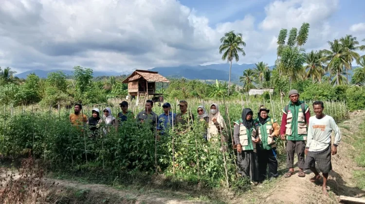 Gengsi Hambat Pemuda Terjun Jadi Petani