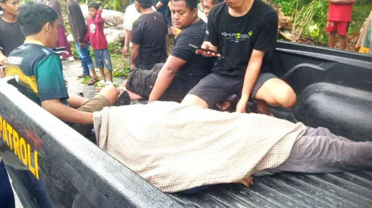 Pria Asal Morowali Meninggal Tertimpa Pohon di Touna