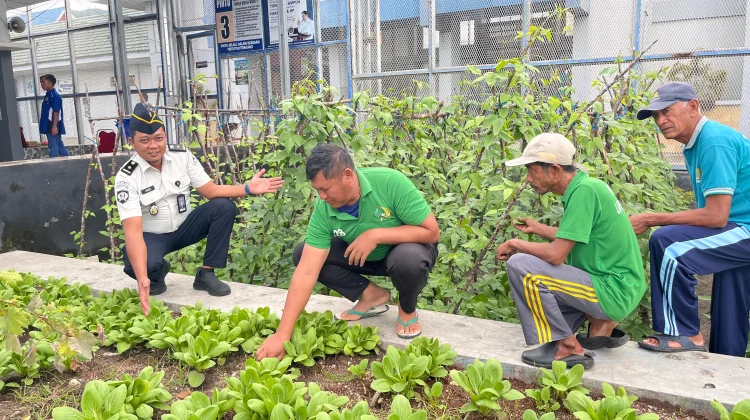 Warga Binaan Lapas Luwuk Sukses Budidaya Sayur Hidroponik