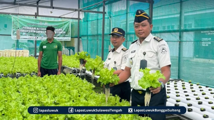 Lapas Luwuk Kembangkan Program Ketahanan Pangan Bagi Warga Binaan