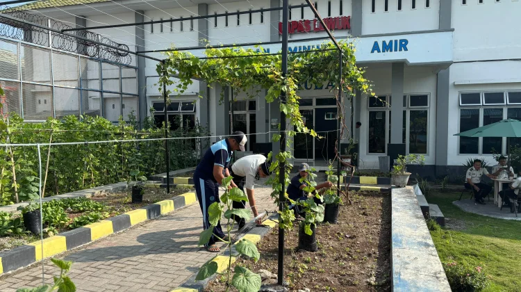 Lapas Luwuk Dorong Kemandirian lewat Budidaya Anggur dan Melon