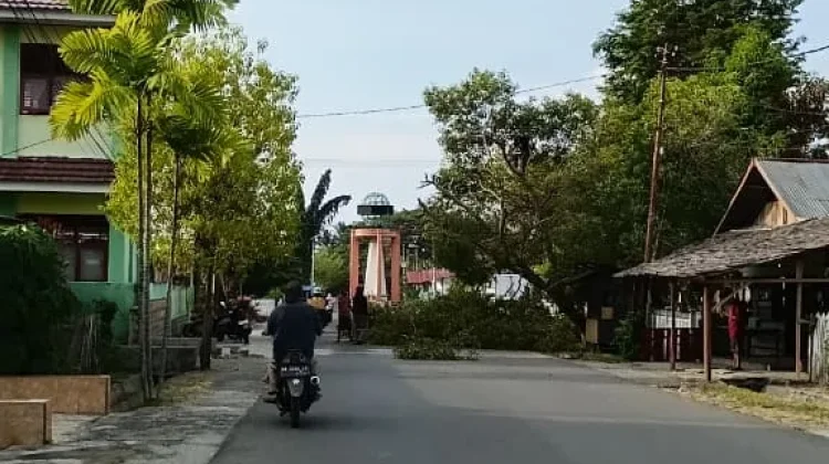 Pohon Rawan Tumbang Ditebang Demi Keselamatan Warga