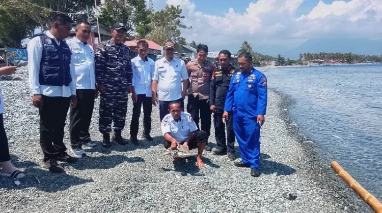 Polairud Touna Lepas Penyu Lekang, Jaga Ekosistem Laut
