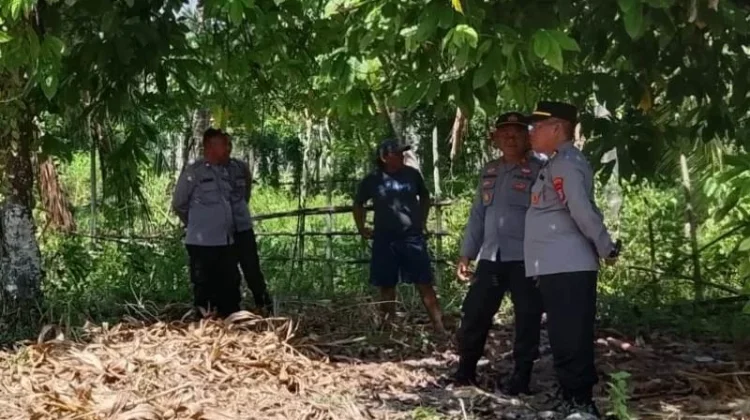 Jelang Panen Serentak, Polres Touna Periksa Lahan Jagung di Desa Sumoli