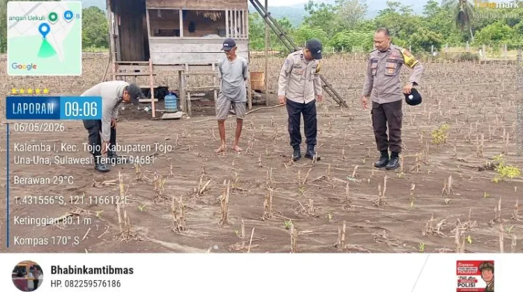 Polres Touna Dampingi Petani Jagung Wujudkan Ketahanan Pangan Nasional