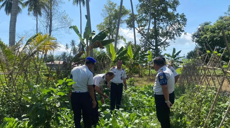 Kalapas Ampana Tinjau Program Ketahanan Pangan Warga Binaan