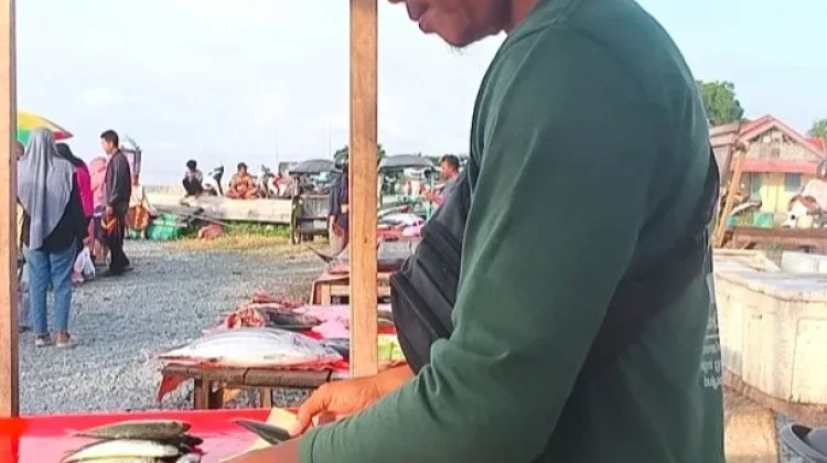Harga Ikan di Ampana Stabil, Masyarakat Kembali Lega