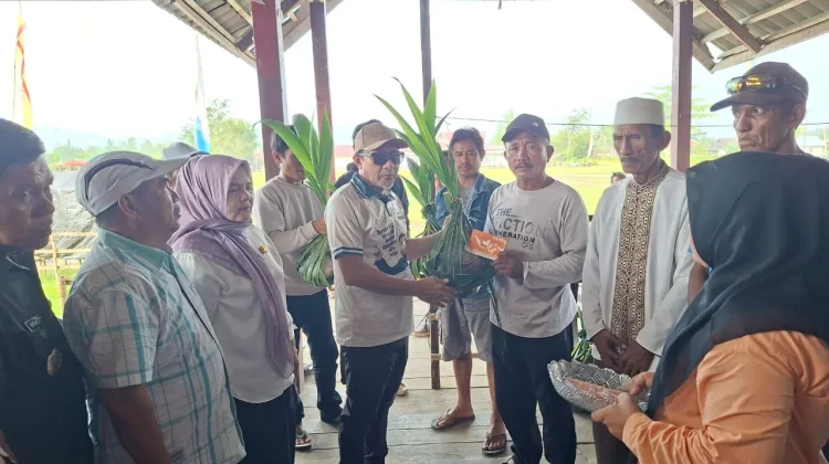 Bupati Touna Serahkan Bantuan Bibit Kelapa dalam untuk 8 Gapoktan di Una-una