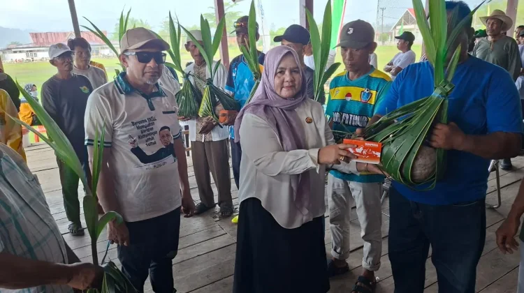 Bupati Touna Serahkan Bantuan Bibit Kelapa dalam untuk 8 Gapoktan di Una-una