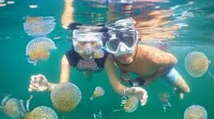 Wisata Diving Togean Dorong Pariwisata Bahari Daerah