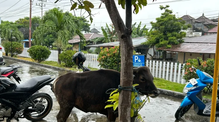 Lapas Luwuk Terima Kunjungan Pinca BRI, Bawa Berkah Kurban bagi Warga Binaan