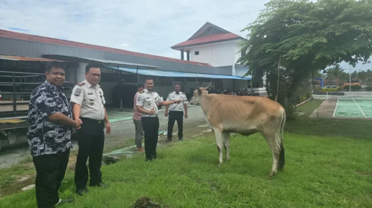 Lapas Ampana Terima Bantuan Hewan Kurban dari Wakil Ketua MPR RIAncandra