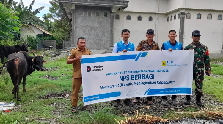 PLN Nusantara Power Services PLTU Ampana Serahkan 2 Ekor Sapi Kurban Kewarga Sabo