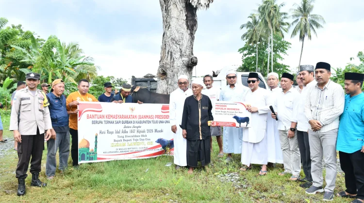 Bupati Touna Serahkan Sapi Kurban Bantuan Presiden RI di Masjid Miftahul Khairat