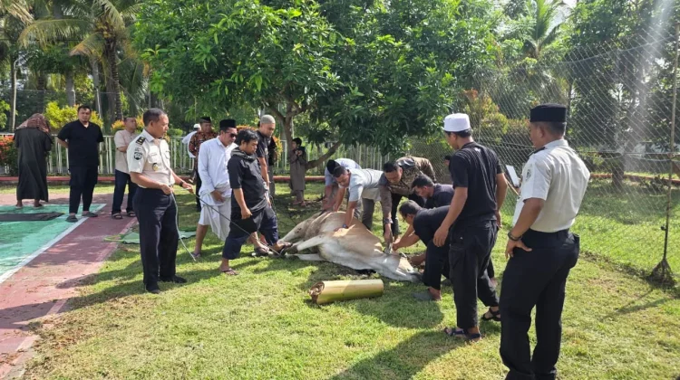 Lapas Ampana Gelar Penyembelihan Hewan Kurban Bantuan Wakil Ketua MPR RI