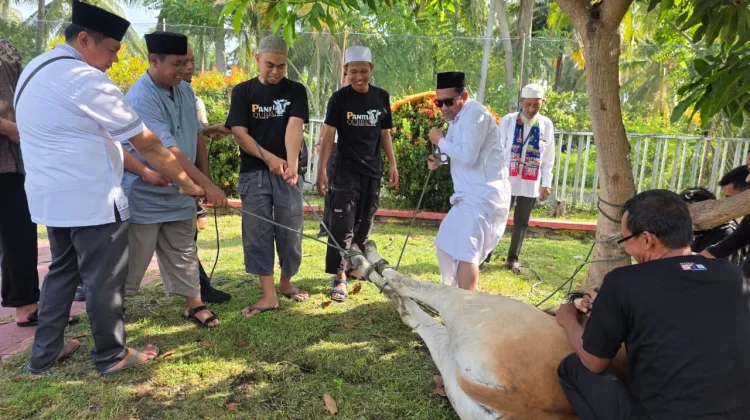 Lapas Ampana Gelar Penyembelihan Hewan Kurban Bantuan Wakil Ketua MPR RI