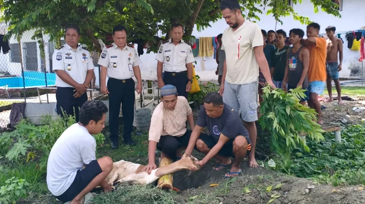 Lapas Ampana Kembali Lakukan Penyembelihan Kurban