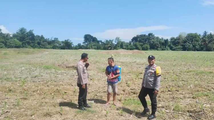 Polsek Ampana Kota Optimalkan Dukungan Program Ketahanan Pangan