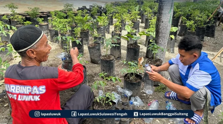 Warga Binaan Lapas Luwuk Sulap Limbah Plastik Jadi Pot Produktif