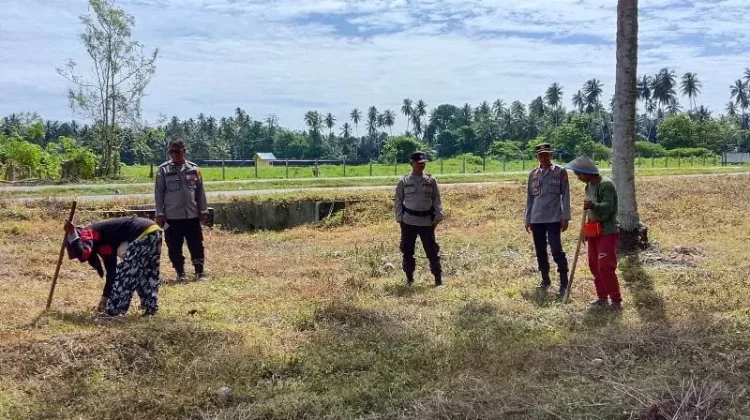 Dukung Ketahanan Pangan, Kapolsek Ampana Kota Cek Lahan Jagung di Padang Tumbuo