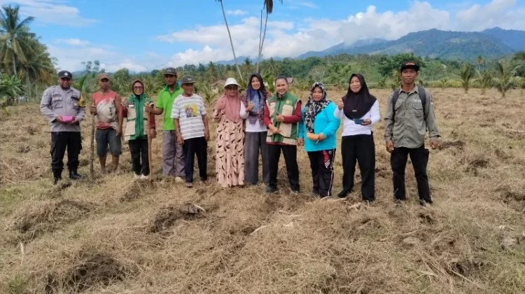Dukung Ketahanan Pangan Nasional, Bhabinkamtibmas Mantangisi Tanam Jagung