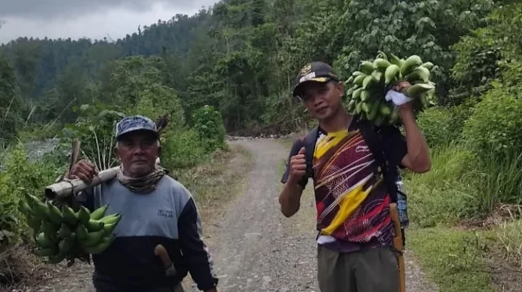Petani Uempanapa dan Kilo Desa Uemakuni Touna Membutuhkan Infrastruktur JUT