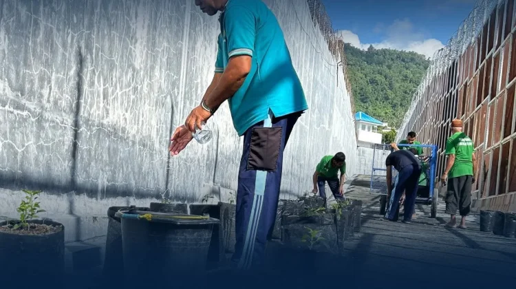 Dukung Ketahanan Pangan, Warga Binaan Lapas Luwuk Kembangkan Hortikultura