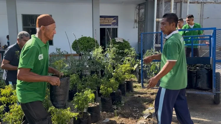 Warga Binaan Lapas Luwuk Sulap Area Lapas Jadi Kebun Lombok dan Tomat